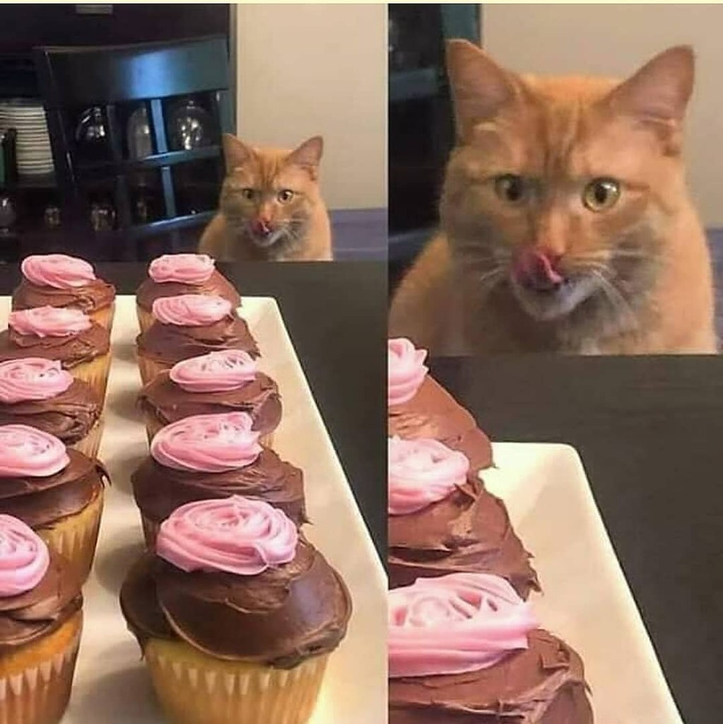        :