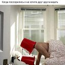 ���� ������, ������� - ��������� 25 �������� 2019 � ������ ���� ����������