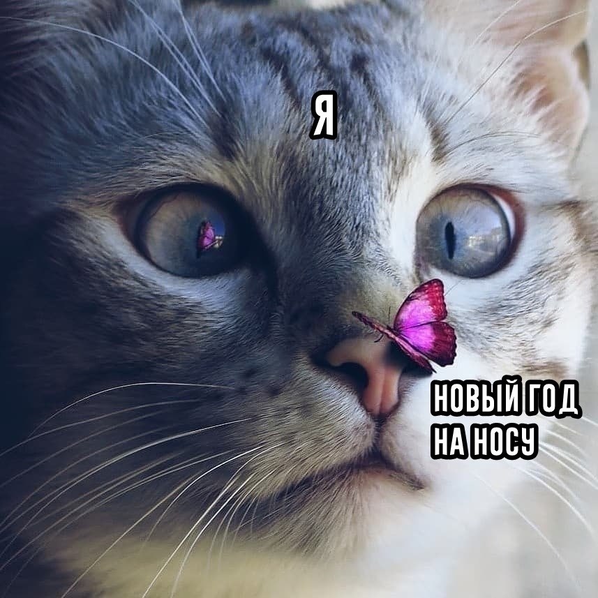   ,     - 2