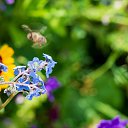  , , 52  -  11  2019     2019