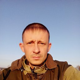 �����, ������, 43 ����