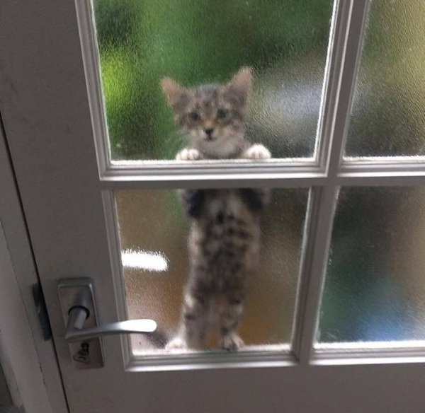 e      o ,  e     ). ...