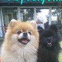 ���� �����, ��������, 53 ���� - ��������� 20 ������� 2019 � ������ ���� ����������