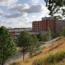  Gojko, -, 72  -  18  2019   Svedska 2019.g.