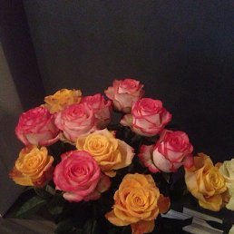 ������, �����-���������, 45 ���