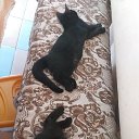���� ���������, �����, 59 ��� - ��������� 7 �������� 2019 � ������ ���� ����������