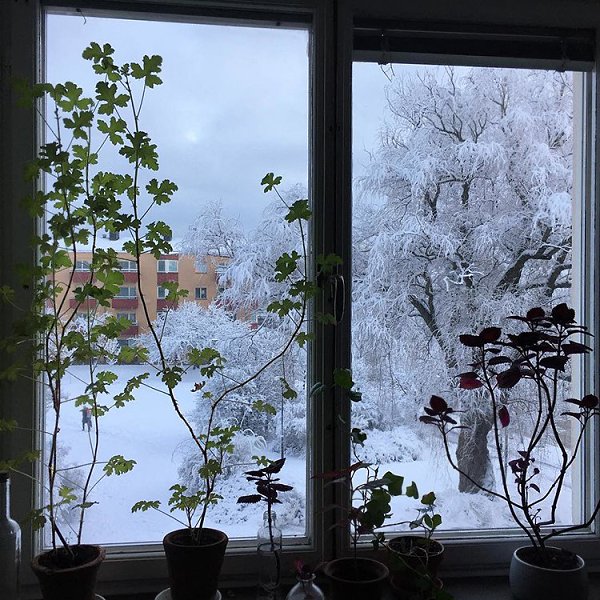 А новый день, как чистый листик, ты сам решаешь, что куда. Начни его с хороших мыслей - и всё ...