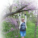 ���� �����, ������� �����-7, 54 ���� - ��������� 13 ��� 2019 � ������ ���� ����������