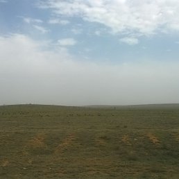 ������, ������, 39 ���