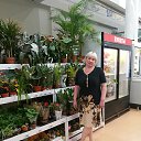 ���� �������, ����, 55 ��� - ��������� 31 ��� 2019 � ������ ���� ����������