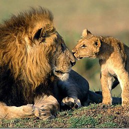 ������, ����, 48 ���