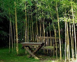 ������ �������� ������� �� 3 ������ � ������ ����� ���� �� 24 ����.
