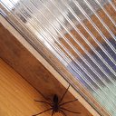 ���� �����, ��������������, 50 ��� - ��������� 15 ���� 2019 � ������ ���� ����������