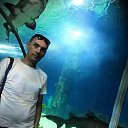 ���� �����, ����, 43 ���� - ��������� 25 ���� 2019 � ������ ���� ����������