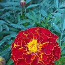 ���� ������, ���� - ��������� 8 �������� 2019 � ������ ���� ����������