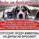 ���� �������, ������, 36 ��� - ��������� 15 ������� 2019