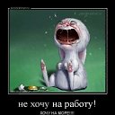 ���� �����, ������ �����, 73 ���� - ��������� 18 ������ 2019 � ������ ������ ��������