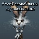 ���� �����, ������, 51 ��� - ��������� 29 ������� 2019 � ������ ���� ����������