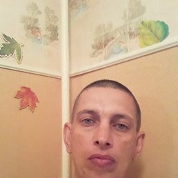 ���������, ���������, 51 ���