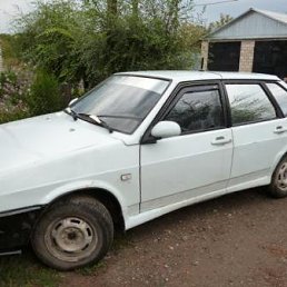 _S--a--n--e--k_, �������, 36 ���