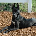 ���� ������, �����-���������, 54 ���� - ��������� 12 ������� 2019 � ������ ������ ��������