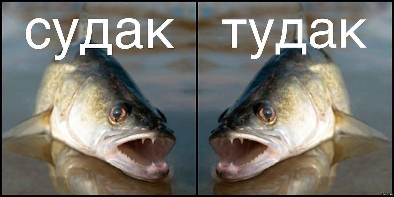 ,       - 2