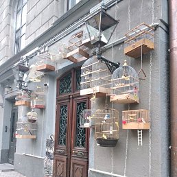 Emomali, ������, 31 ���