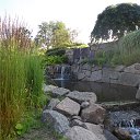  , -, 65  -  10  2019    