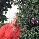 ���� ����, ����� - ��������� 12 ������� 2019 � ������ ���������� ������