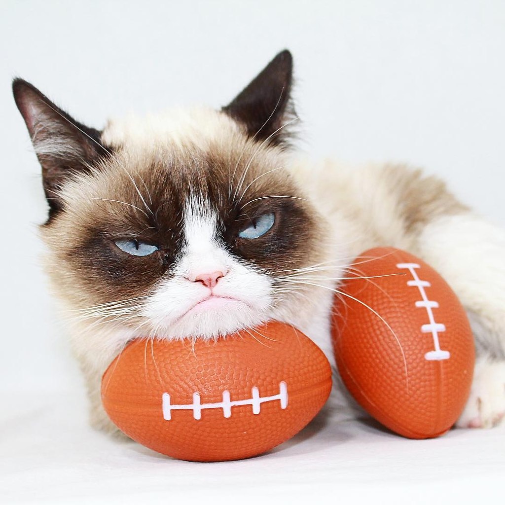 ea eeaa ea oa Grumpy Cat.oa o e o aa (Tardar Sauce), ea  ... - 3