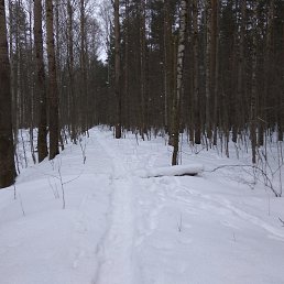 Andrey, �����-���������