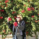 TUNISIA �� ������� ���� ����������