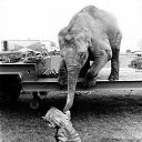 ���� ��������, ���������, 55 ��� - ��������� 15 ������� 2019 � ������ ������ ��������