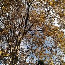 ,.,,,03.11.19.9.20.   , 2019