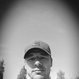 ����, �����������, 37 ���