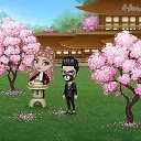 ���� �����, ������ ���, 31 ��� - ��������� 2 ��� 2019 � ������ �Tropikania�