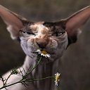 ���� �����, ���������, 61 ��� - ��������� 27 ���� 2019 � ������ �����