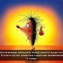 ���� �����, ������ - ��������� 25 ���� 2019 � ������ ������ ��������