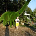  ,  , 52  -  11  2019   2019