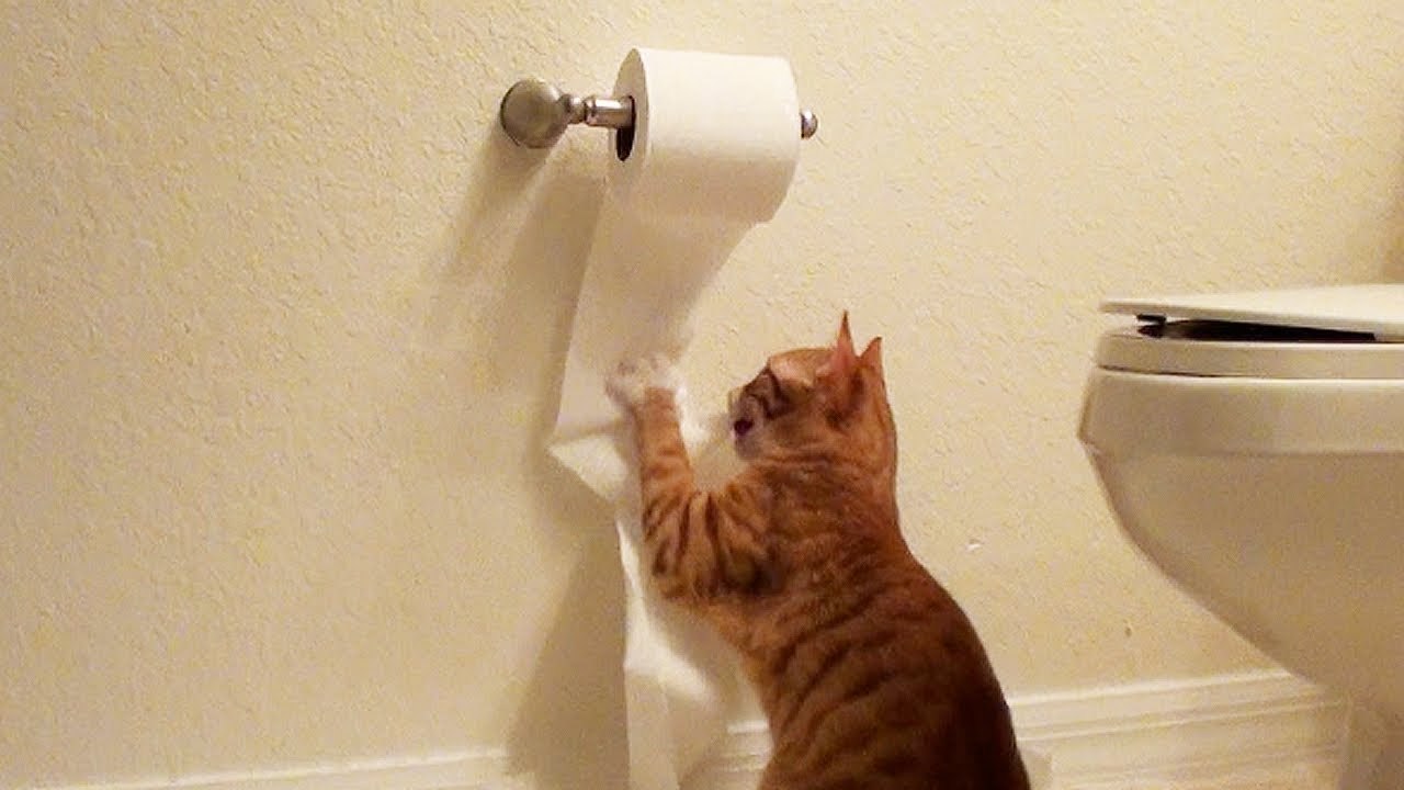  ,   ,       ,     ... - 3