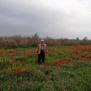 ���� ��������, ����� - ��������� 7 ������ 2019 � ������ �UZGTL�