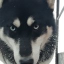 ���� �������, ����, 41 ��� - ��������� 17 ������� 2019 � ������ ���� ����������