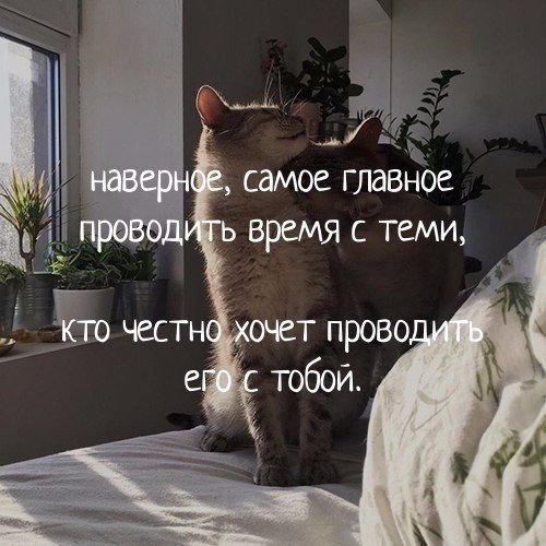   . . . - 24  2019  03:09