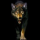 ���� �����, ������, 41 ��� - ��������� 22 ���� 2019 � ������ ���� ����������