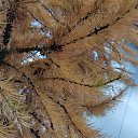  , , 50  -  9  2019    2019