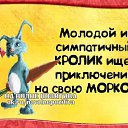 ���� ����, ��������, 49 ��� - ��������� 27 ������� 2019 � ������ ������ ��������