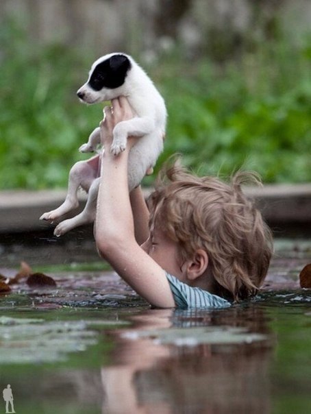 �������� � ���� ���o���� - 8