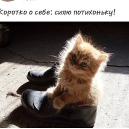 ���� ����, ����-�����������, 47 ��� - ��������� 28 ��� 2019