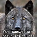 ���� ������, �������, 57 ��� - ��������� 4 ���� 2019 � ������ ������ ��������