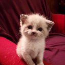 ���� ����, �����, 24 ���� - ��������� 10 ������ 2019